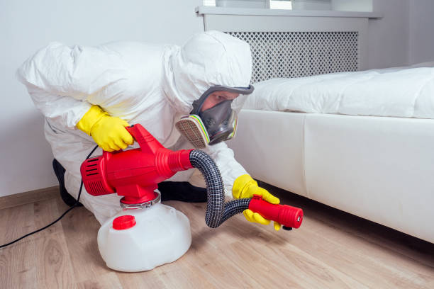 Trusted Loyal, WI Pest Control Experts