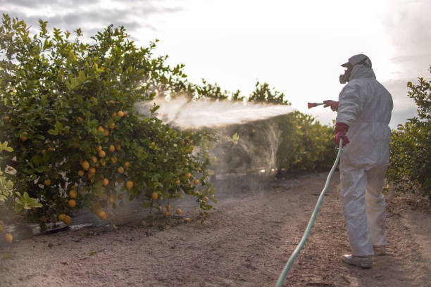 Best Insect Control  in Loyal, WI