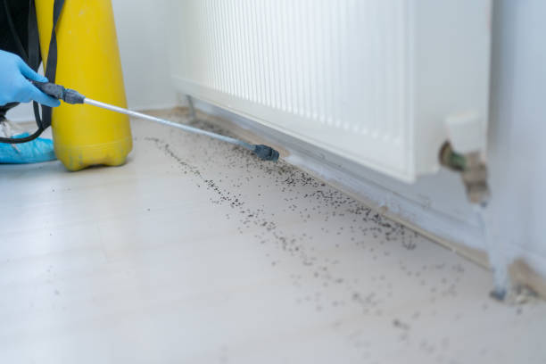 Best Exterminator Services  in Loyal, WI