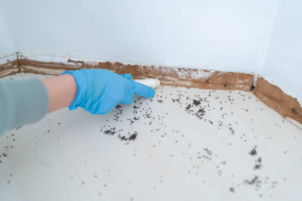 Best Pest Inspection Near Me  in Loyal, WI